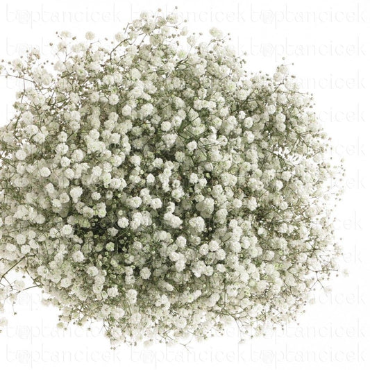 Özel Şoklanmış Cipso Buketi